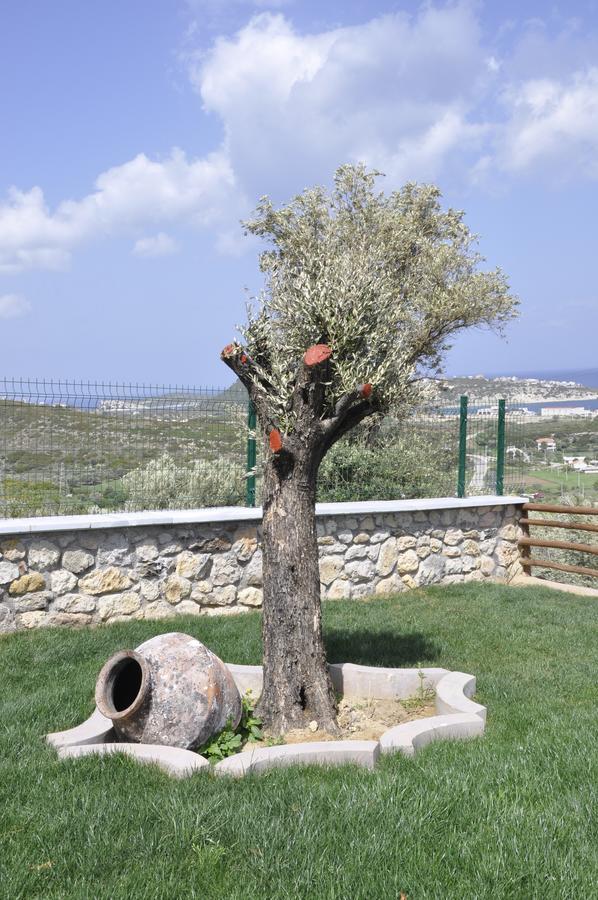 Tas Avlu Butik Otel Karaburun  Exteriér fotografie
